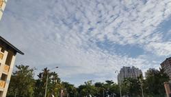 Blk 227 Bishan Street 23 (Bishan), HDB 4 Rooms #127888092